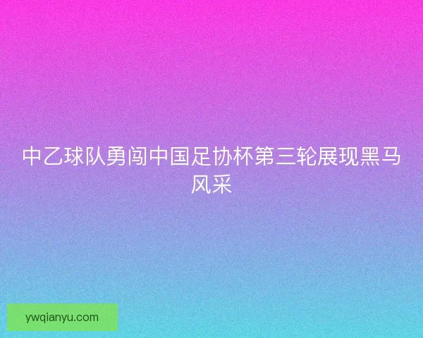 中乙球队勇闯中国足协杯第三轮展现黑马风采